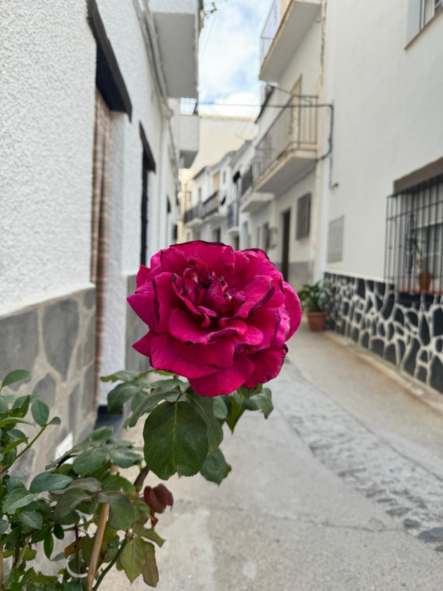 Apartamento Rural Julio Trevélez 외부 사진